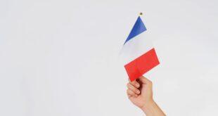 Hand is hold french flag on white background