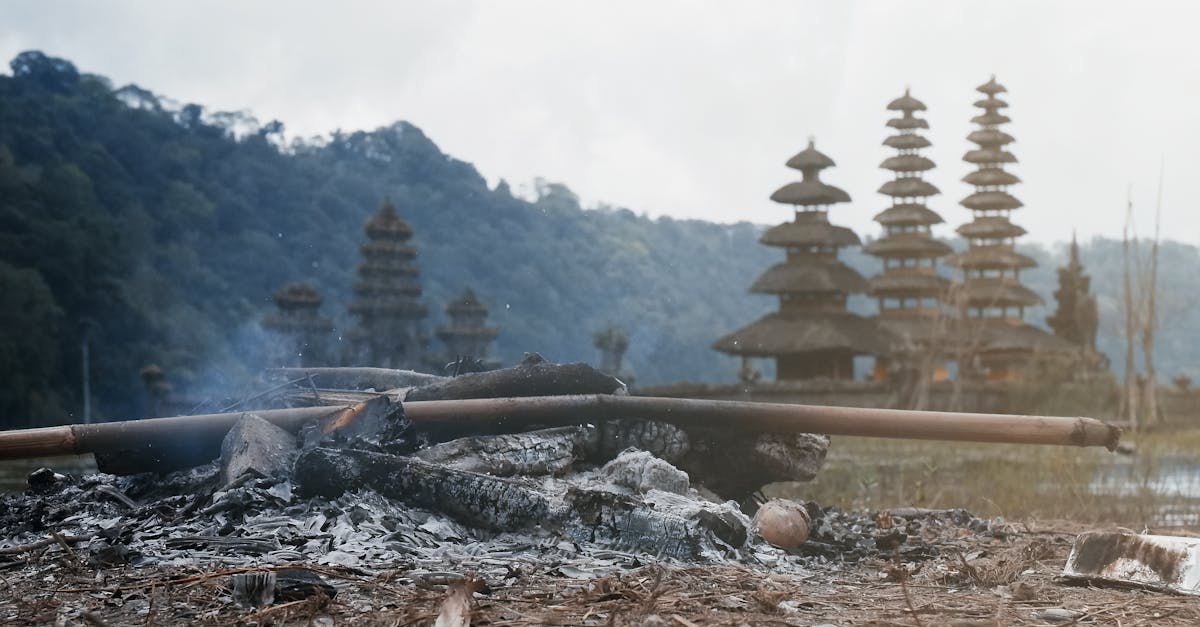 découvrez l'univers mystérieux d'ashes, un récit captivant qui explore les thèmes de la résilience et de la renaissance à travers des personnages inoubliables. plongez dans une histoire émotive qui vous tiendra en haleine du début à la fin.