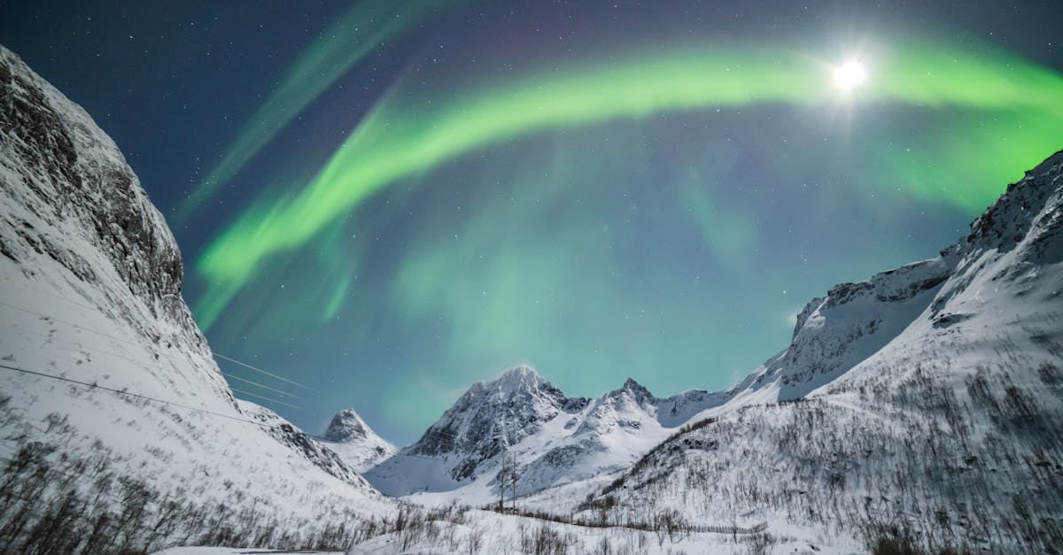 découvrez les aurores, ces phénomènes lumineux extraordinaires qui illuminent le ciel nocturne. apprenez-en davantage sur leur formation, leurs couleurs hypnotisantes et les meilleurs endroits pour les observer dans le monde. plongez dans la magie des aurores boréales et australes.