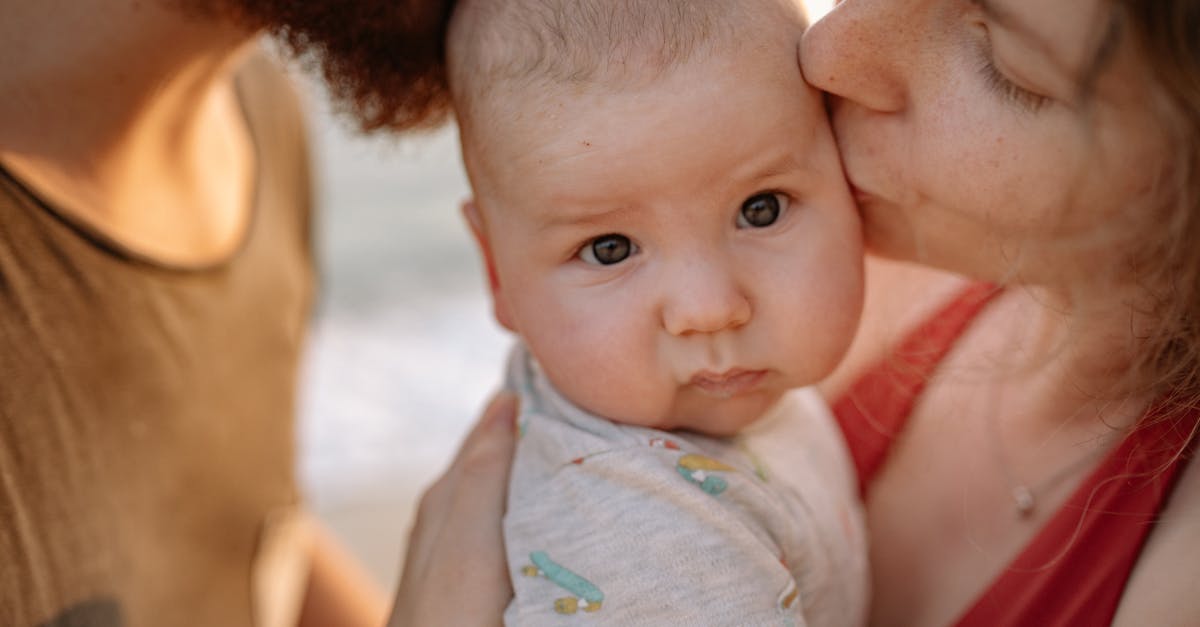 découvrez le monde charmant des bébés lamas ! apprenez tout sur leur adorable comportement, leurs soins et l'élevage de ces animaux fascinants qui captivent le cœur de tous.