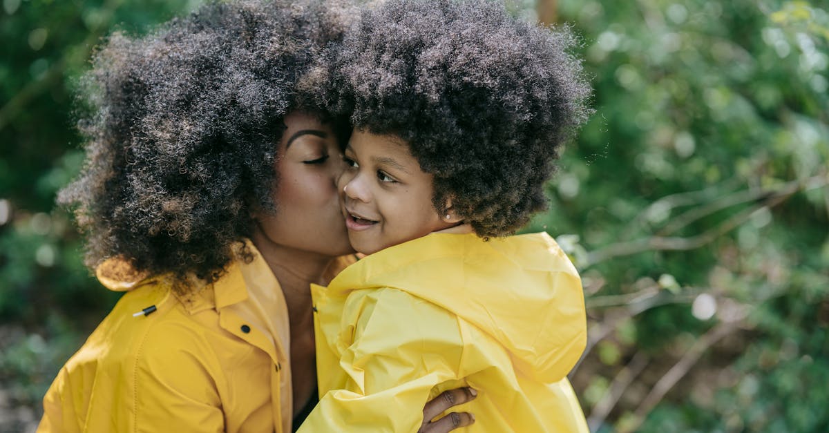 explorez la beauté et la diversité des forêts, véritables poumons de notre planète, abritant une faune et une flore riches et variées. découvrez leur importance écologique, culturelle et leur rôle crucial dans la lutte contre le changement climatique.