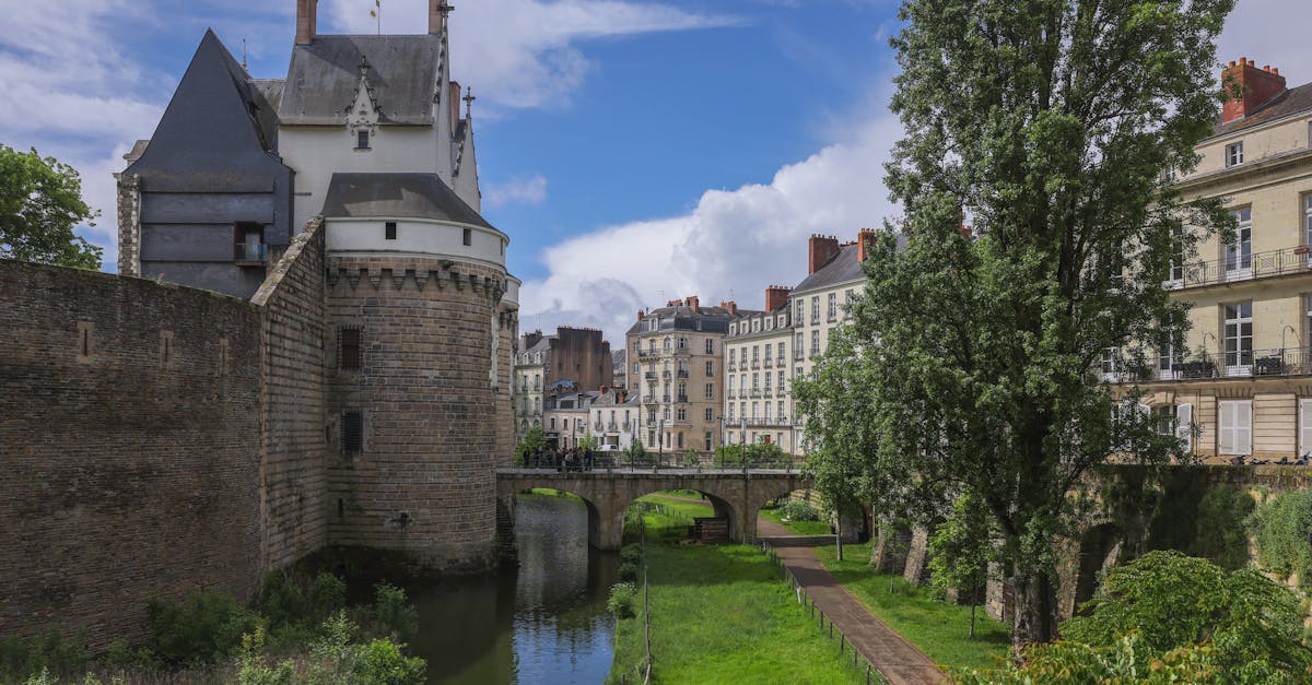 découvrez le patrimoine génétique français avec notre exploration des gènes typiques de la france. apprenez comment l'hérédité influence notre culture, notre santé et notre identité. une plongée fascinante dans les racines génétiques de la nation.