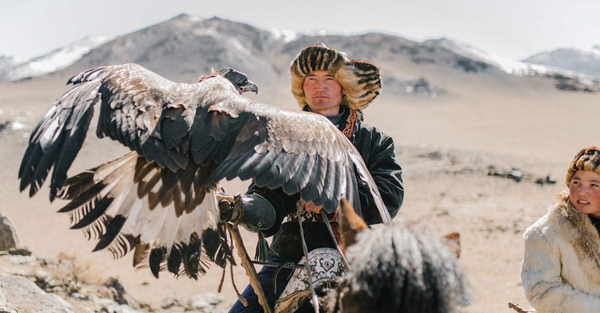 découvrez le majestueux aigle royal, un symbole de puissance et de liberté. apprenez-en plus sur son habitat, ses comportements de chasse et son rôle dans l'écosystème. explorez la fascinante vie de cet oiseau emblématique à travers des faits captivants et des images époustouflantes.