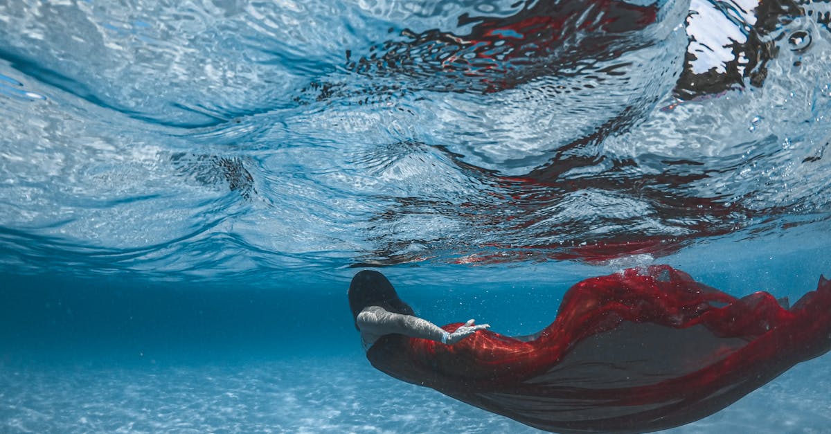 découvrez l'univers fascinant des sirènes avec 'mermaid'. plongez dans des récits enchanteurs, des illustrations captivantes et des légendes maritimes qui émerveillent petits et grands. explorez la magie des fonds marins et laissez-vous enchanter par la beauté des créatures mythiques des océans.