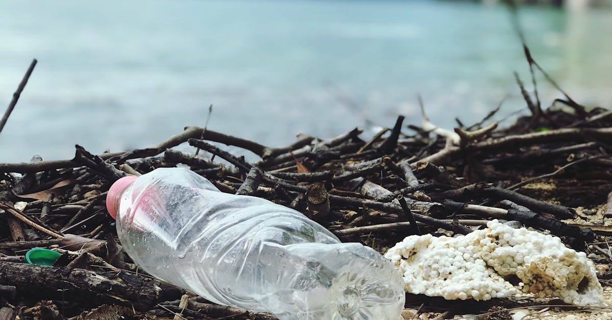 découvrez les dangers des plastiques au micro-ondes. apprenez comment certains contenants peuvent libérer des substances nocives lors de leur utilisation, et comment choisir des alternatives sûres pour votre santé et celle de votre famille.