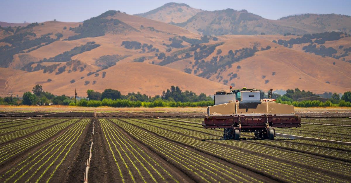 découvrez les secrets du jardinage naturel avec notre guide sur le désherbage écologique. apprenez à éliminer les mauvaises herbes sans produits chimiques, tout en préservant la santé de votre sol et de vos plantes. transformez votre jardin en un havre de paix naturel!