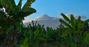 découvrez les bienfaits des produits fertilisés pour optimiser la croissance de vos plantes et améliorer la qualité de votre sol. apprenez à choisir et à utiliser les fertilisants adaptés à vos besoins pour un jardin florissant.