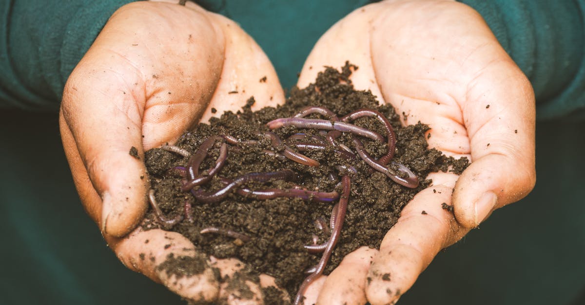 découvrez tout ce qu'il faut savoir sur les méthodes de fertilisation, leurs avantages et comment elles peuvent améliorer la croissance de vos plantes. obtenez des conseils pratiques pour un jardin florissant!