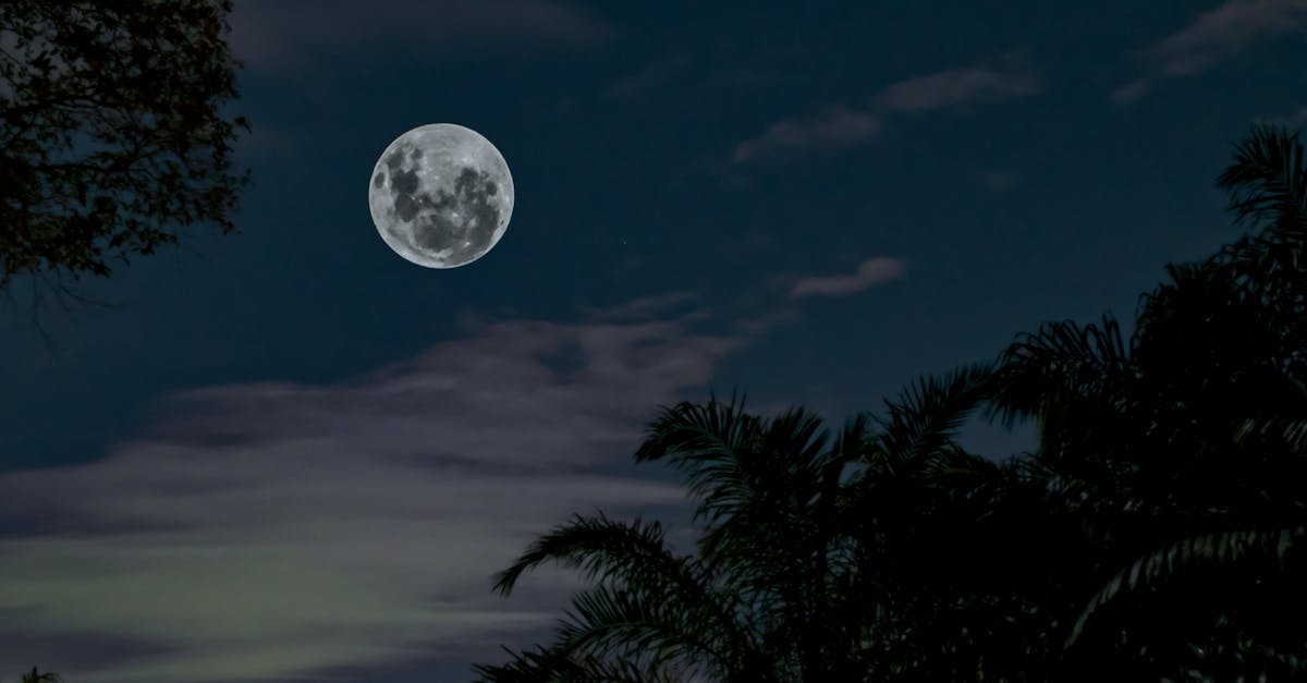 découvrez la beauté fascinante de la lune, notre satellite naturel. explorez ses mystères, son influence sur la terre et les récits inspirants qui l'entourent. plongez dans un univers où la science et la poésie se rencontrent sous l'éclat lunaire.