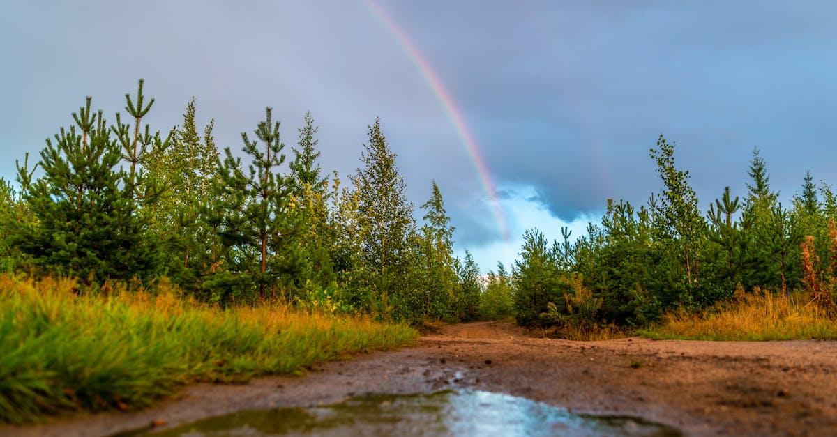 découvrez l'univers fascinant de la boue ('mud') ! explorez ses bienfaits pour la santé, son utilisation en cosmétique, et son rôle dans diverses cultures. apprenez comment cette matière naturelle peut enrichir votre vie quotidienne.